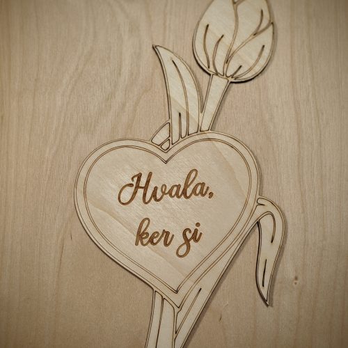 TULIPAN " Hvala ker si"